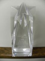 Castine Movers Receives �Voice of Customer� Award at Cartus 2008 Global Network Conference
