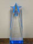 Castine Moving & Storage Receives Commitment to Excellence Platinum Award at Cartus 2010 Global Network Conference