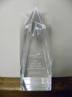 Castine Moving & Storage Receives �Voice of Customer� Award at Cartus 2010 Global Network Conference 