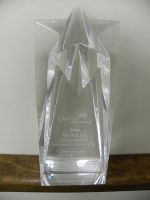 Castine Movers Receives Voice of Customer Award at Cartus 2008 Global Network Conference
