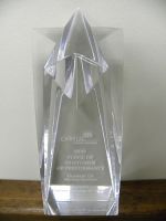Castine Moving & Storage Receives Voice of Customer Client Performance Award at Cartus 2009 Global Network Conference